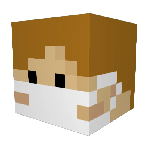 Jonas_xy3z Minecraft avatar head, 3D render