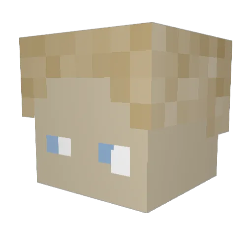 Jonasa96 Minecraft avatar head, 3D render