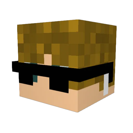 JonasderHeld08 Minecraft avatar head, 3D render