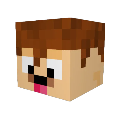 Jonaslgz Minecraft avatar head, 3D render