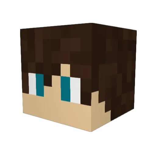 Jonasm217 Minecraft avatar head, 3D render