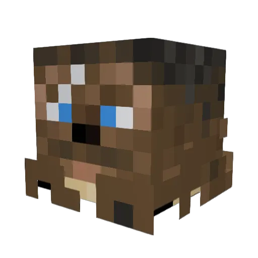 JonathanCobb Minecraft avatar head, 3D render