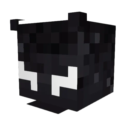 Jonathan_ZZZ Minecraft avatar head, 3D render