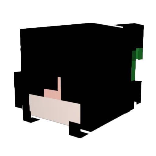 Jondali Minecraft avatar head, 3D render