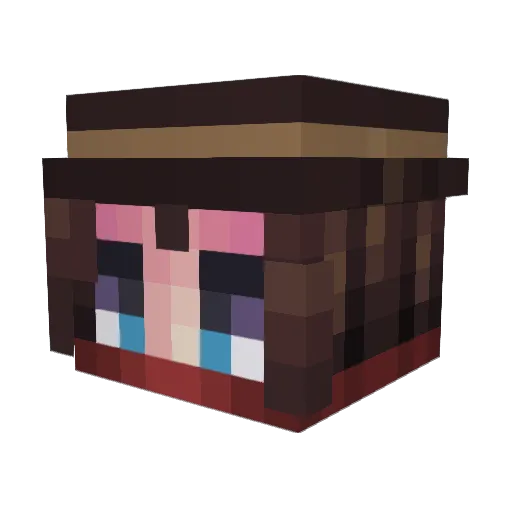 JonhWhatEver Minecraft avatar head, 3D render
