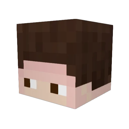 Joni_gut Minecraft avatar head, 3D render