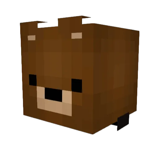 Jonibamboni500 Minecraft avatar head, 3D render