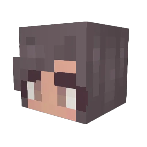 Joniseu Minecraft avatar head, 3D render