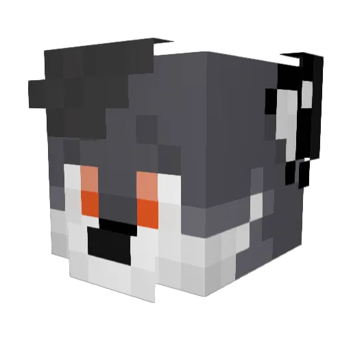 Joniskill7 Minecraft avatar head, 3D render