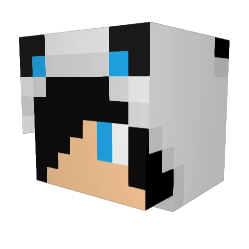 Joniw2002 Minecraft avatar head, 3D render