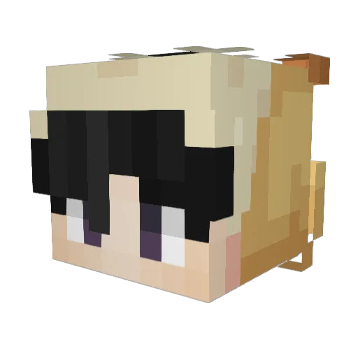 Jonjoe_02 Minecraft avatar head, 3D render