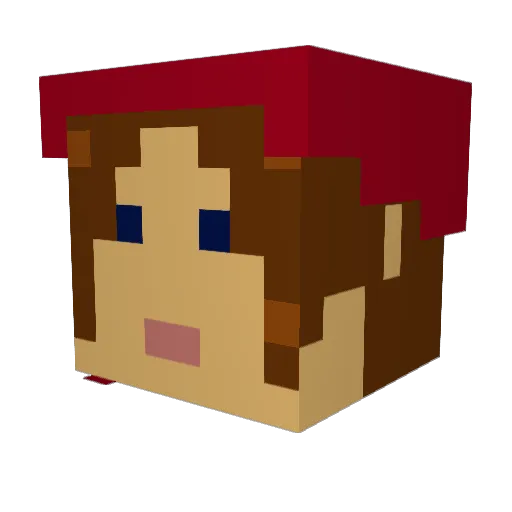 Jonkasonic Minecraft avatar head, 3D render