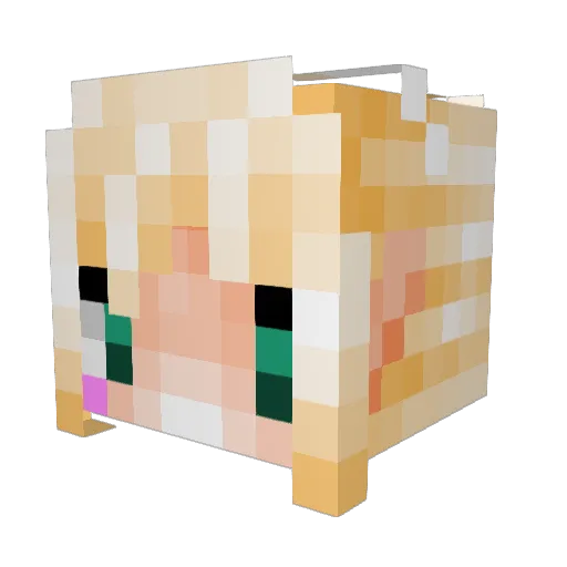 JonnDrakea Minecraft avatar head, 3D render