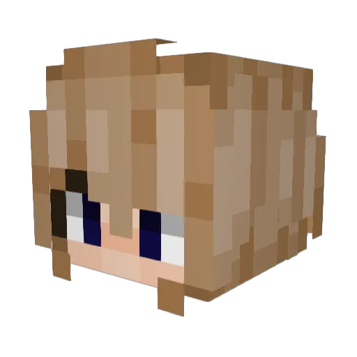 JonnarTheSlayer Minecraft avatar head, 3D render