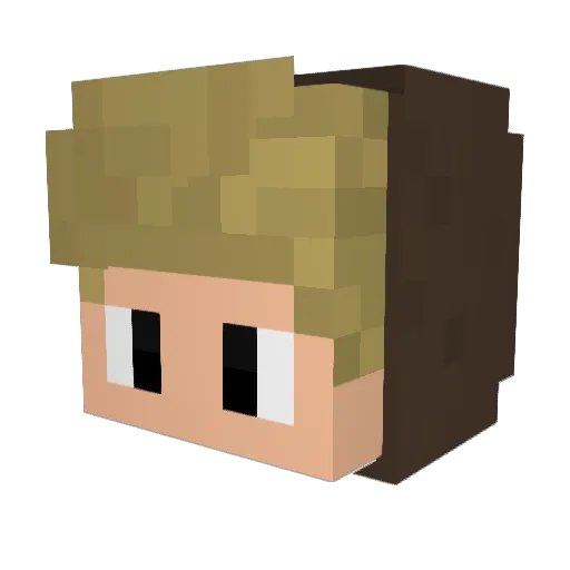 Jonne_n_Schein Minecraft avatar head, 3D render