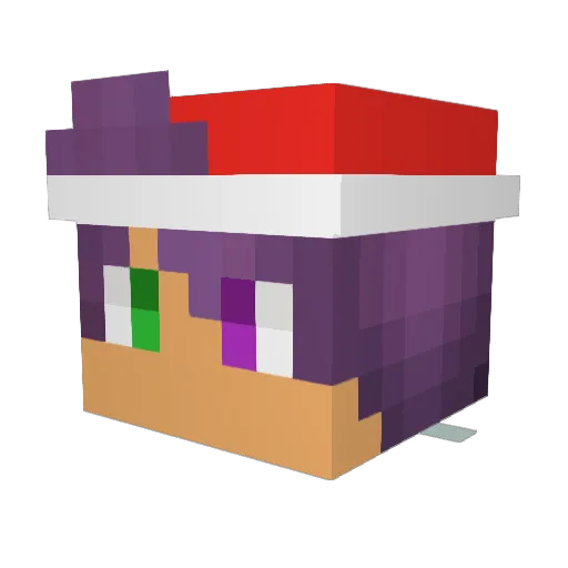 Jonnepoika123 Minecraft avatar head, 3D render
