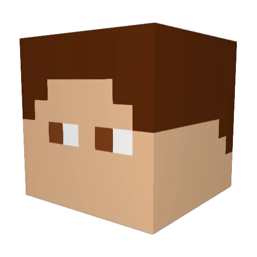 Jonny_246 Minecraft avatar head, 3D render