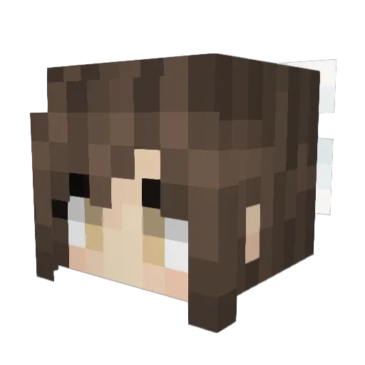 Jonsi00 Minecraft avatar head, 3D render