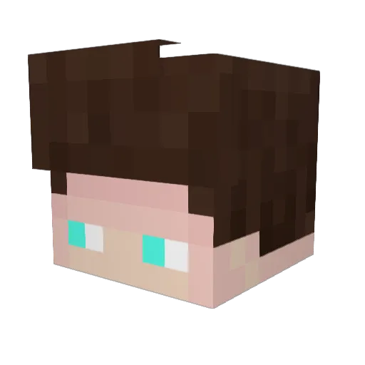 Jonte10000 Minecraft avatar head, 3D render