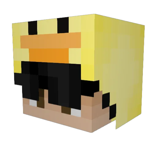 Jonttuh1 Minecraft avatar head, 3D render