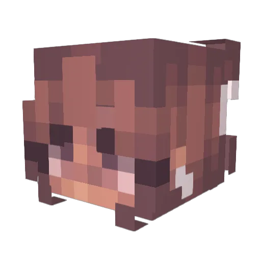 Jooanaz Minecraft avatar head, 3D render