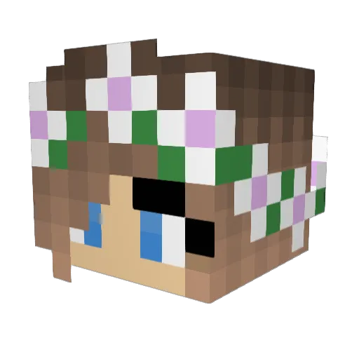 Joobilee Minecraft avatar head, 3D render