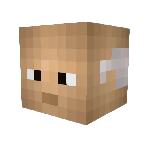 Jooda99 Minecraft avatar head, 3D render