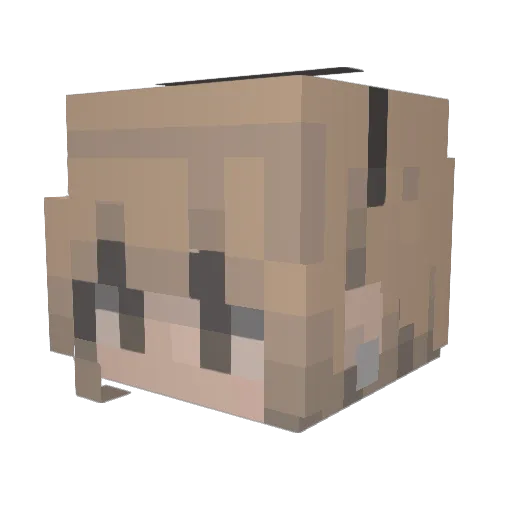 Jooens Minecraft avatar head, 3D render