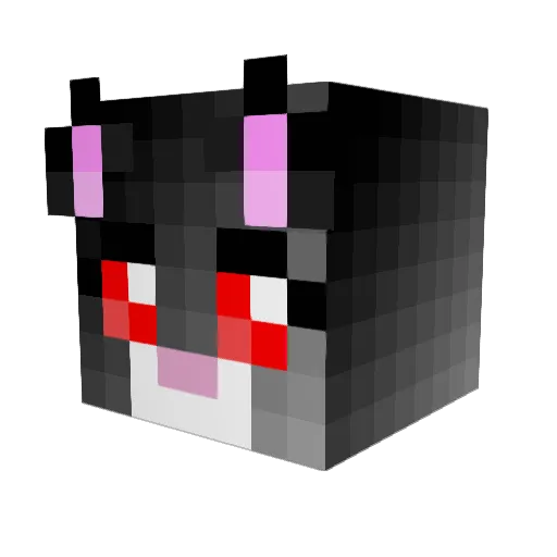 Joogy888 Minecraft avatar head, 3D render