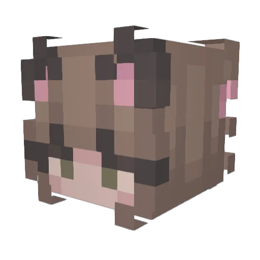 Jooin0918 Minecraft avatar head, 3D render