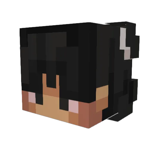 Joojoow8 Minecraft avatar head, 3D render