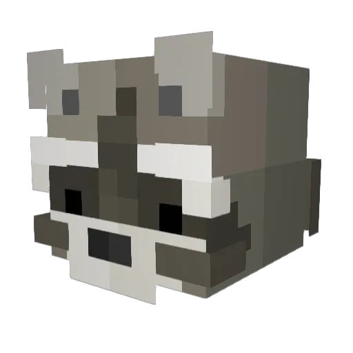 Joom__ Minecraft avatar head, 3D render