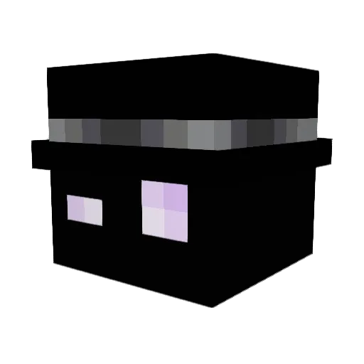 Joonaas_ Minecraft avatar head, 3D render