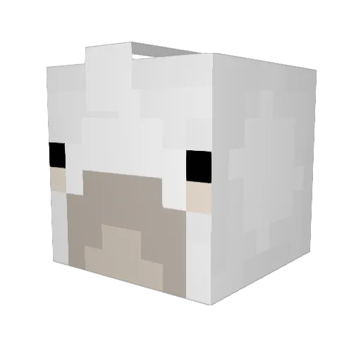 Jooobls Minecraft avatar head, 3D render