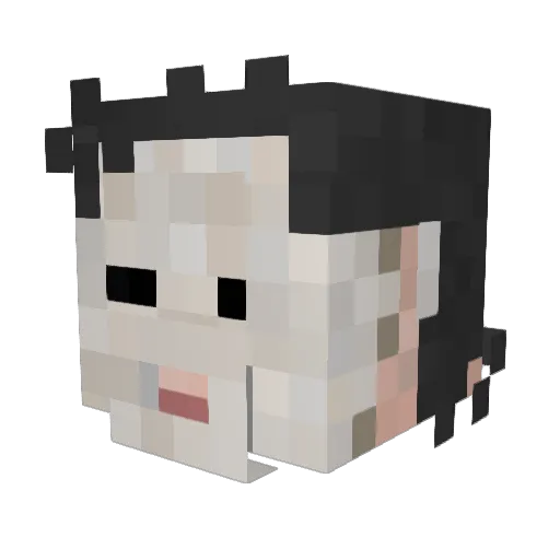 Joooeeeeeeee Minecraft avatar head, 3D render