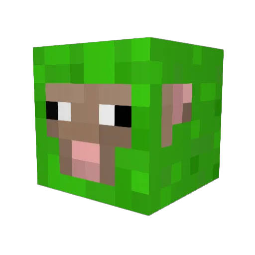 Jooonamus Minecraft avatar head, 3D render