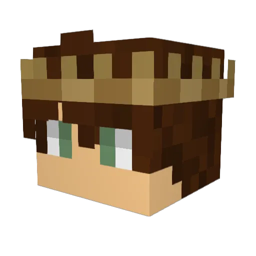 Joop72 Minecraft avatar head, 3D render