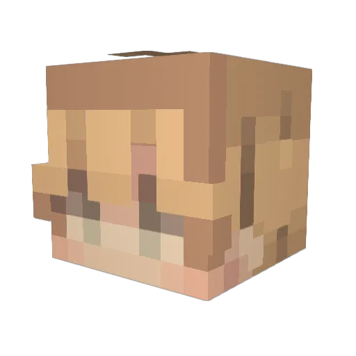 Jootex83 Minecraft avatar head, 3D render