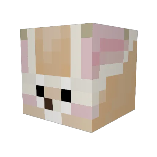 Jootop2a Minecraft avatar head, 3D render