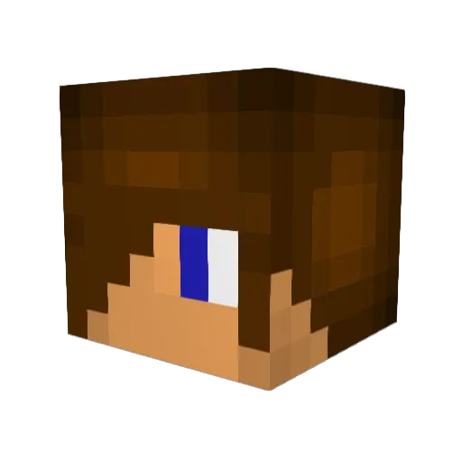 Joowzy Minecraft avatar head, 3D render