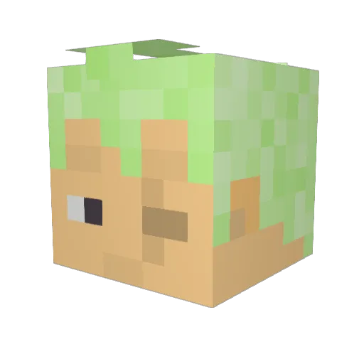 Jooynar Minecraft avatar head, 3D render