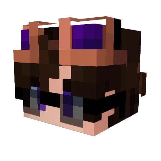 JopaEbanytaya_67 Minecraft avatar head, 3D render