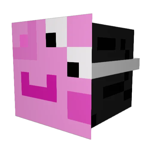 Joplay123 Minecraft avatar head, 3D render