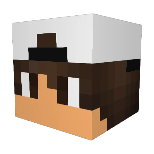 JoquinhasCraft Minecraft avatar head, 3D render