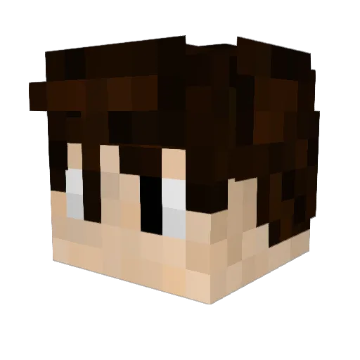 Jord5555 Minecraft avatar head, 3D render