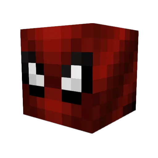 Jordan1204 Minecraft avatar head, 3D render