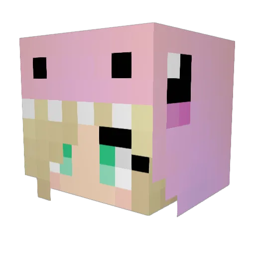 Jordan5831 Minecraft avatar head, 3D render