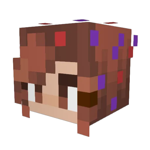 JordanAnni Minecraft avatar head, 3D render