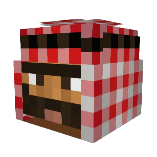 JordanBrau Minecraft avatar head, 3D render