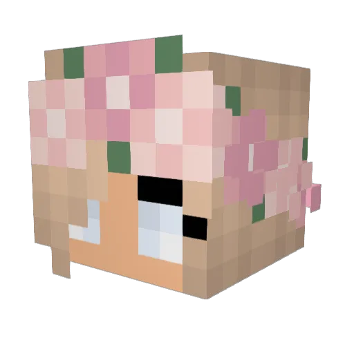 JordanElise012 Minecraft avatar head, 3D render